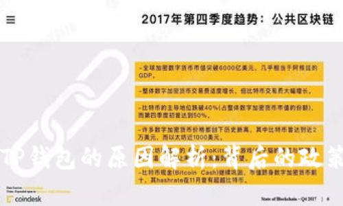 中国不支持TP钱包的原因解析：背后的政策与市场考量