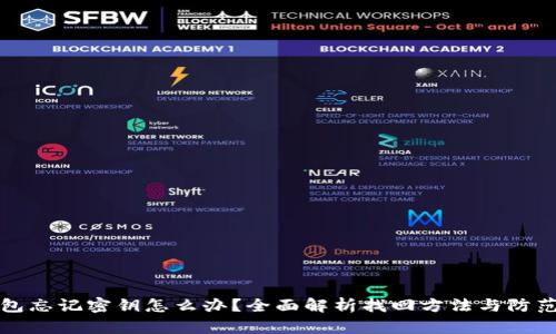 TP钱包忘记密钥怎么办？全面解析找回方法与防范技巧