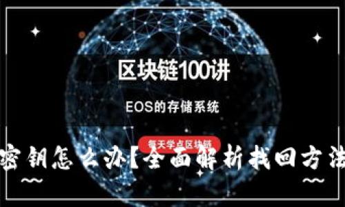 TP钱包忘记密钥怎么办？全面解析找回方法与防范技巧