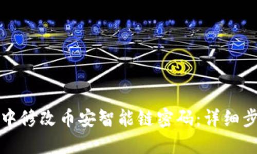 如何在TP钱包中修改币安智能链密码：详细步骤与实用技巧