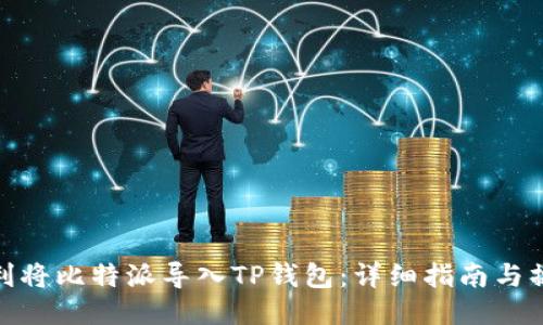 如何顺利将比特派导入TP钱包：详细指南与操作步骤