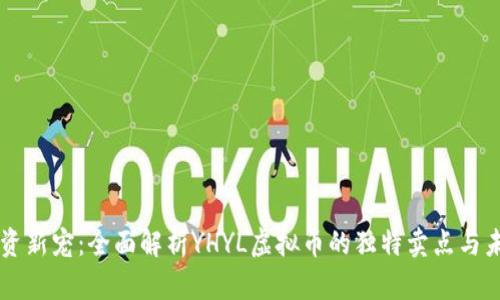 虚拟投资新宠：全面解析YHYL虚拟币的独特卖点与未来展望