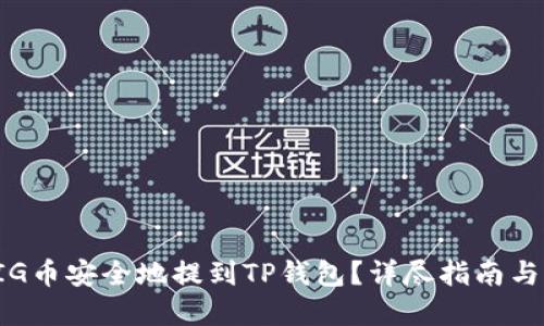 如何将PIG币安全地提到TP钱包？详尽指南与实用技巧