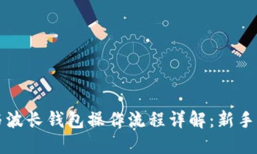 TP钱包与波长钱包操作流程详解：新手必看指南