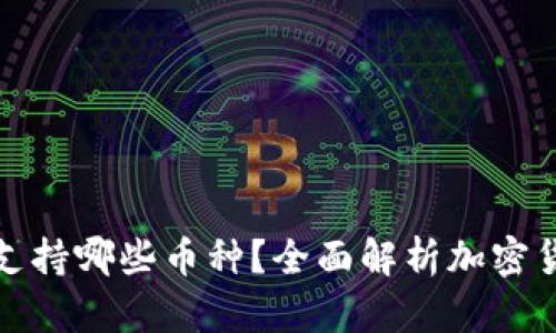 TP钱包支持哪些币种？全面解析加密货币选择
