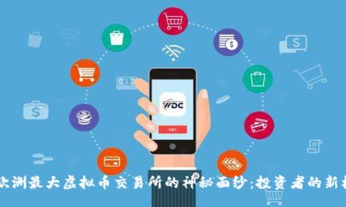 blog
    揭开欧洲最大虚拟币交易所的神秘面纱：投资者的新机遇与挑战
