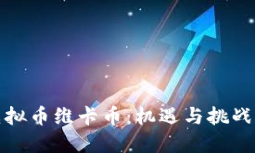 投资虚拟币维卡币：机遇与挑战全解读