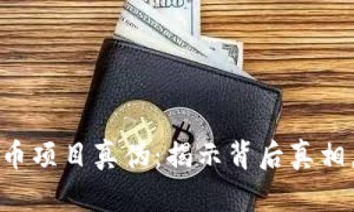 如何辨别虚拟币项目真伪：揭示背后真相，保护你的投资