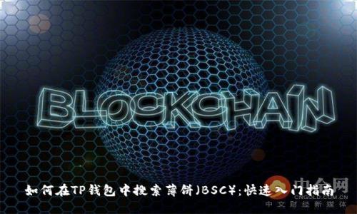 如何在TP钱包中搜索薄饼（BSC）：快速入门指南