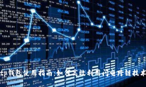 tp钱包使用指南：如何高效利用闪电跨链技术
