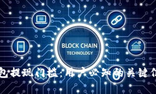 深入解析TP钱包提现门槛：用户必知的关键信息与操作指南