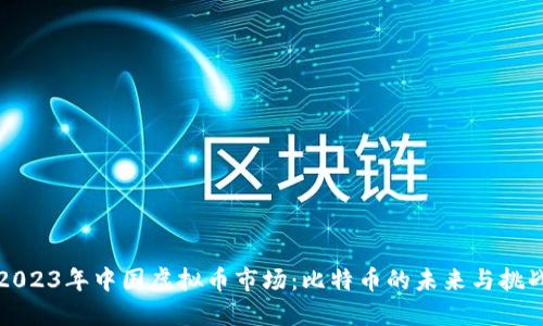 2023年中国虚拟币市场：比特币的未来与挑战