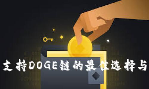 TP钱包中支持DOGE链的最佳选择与使用指南