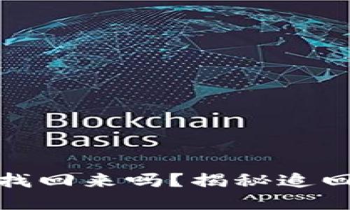 TP钱包资金被盗后能找回来吗？揭秘追回资金的可能性与步骤