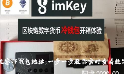 如何观察TP钱包地址：一步一步教你实时查看数字资产